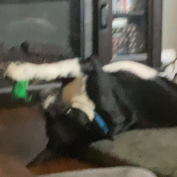 Meet your Posher, Dustin - Picture 1 of 1